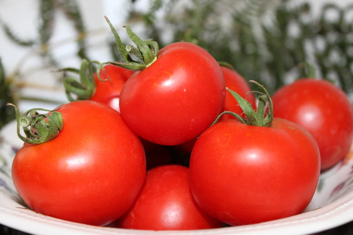 Jitomates