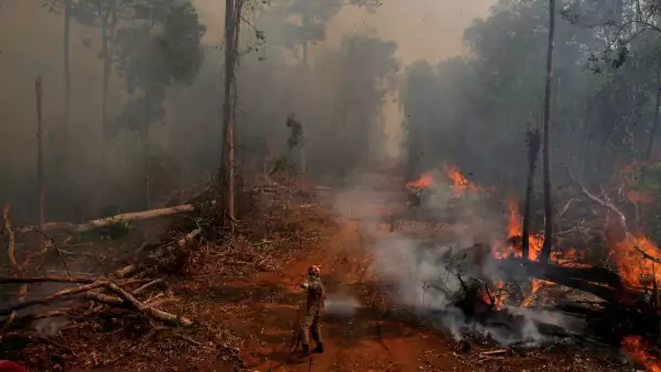 amazonia-incendio-brasil
