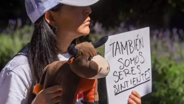 reformas estados maltrato animal