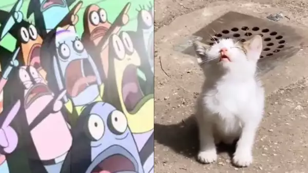 memes-eclipse-solar-8-de-abril-2024