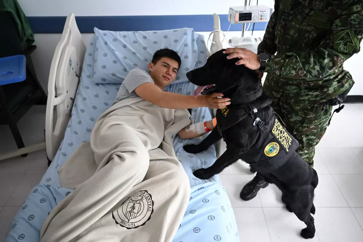 perros de apoyo emocional en colombia