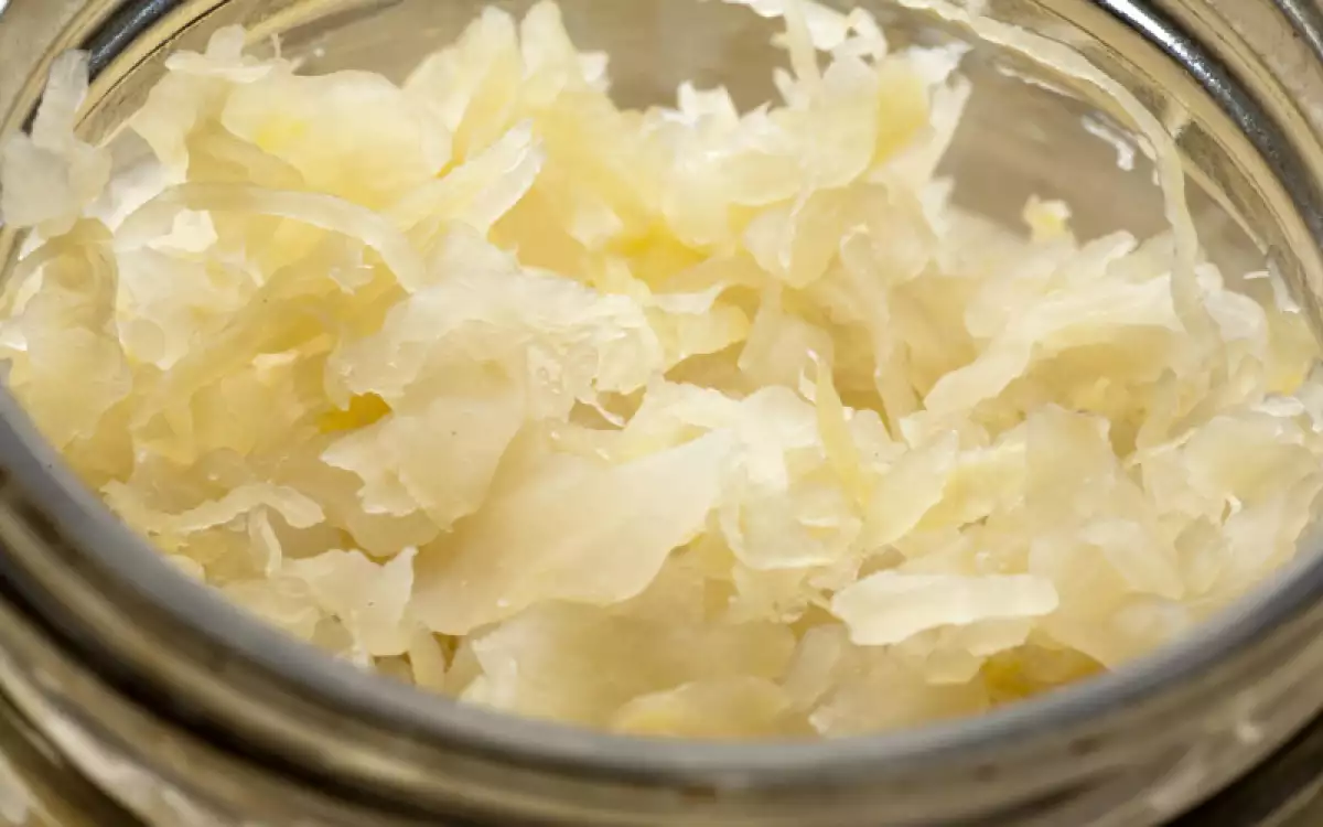 Probioticos-buenos-2