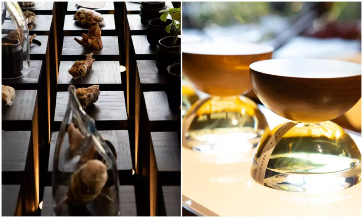 xinu-aromas-pueden-tocarse.jp