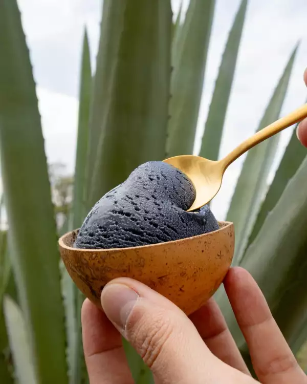 helados-nieve-de-olla-opiniones.jpg