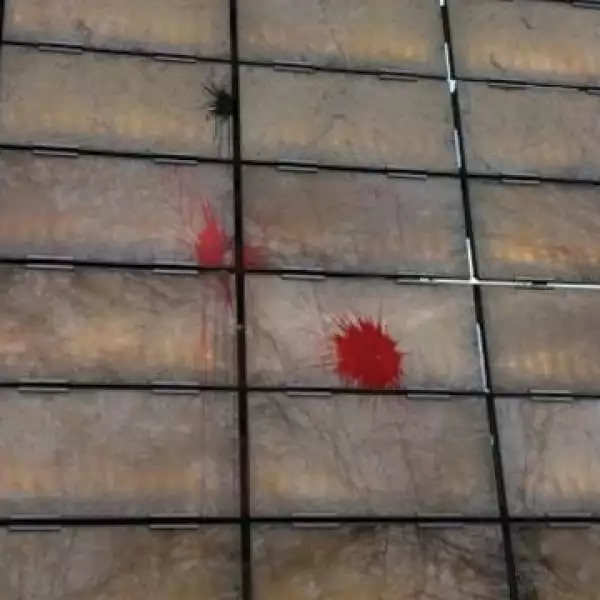 marcha 132 estela de luz 20