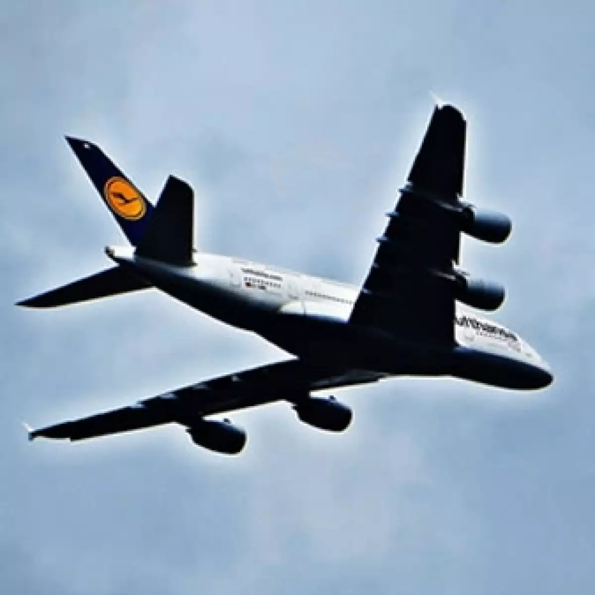 loglufthansaavion