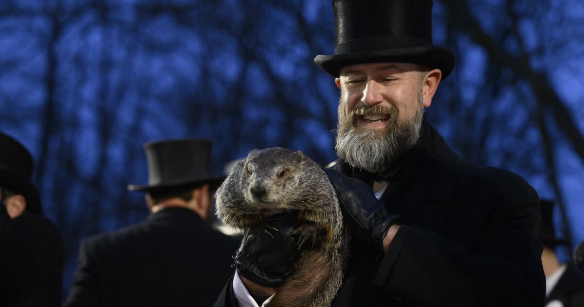 Dünyanın en ünlü köstebeği baharın erken geleceğini tahmin ediyor