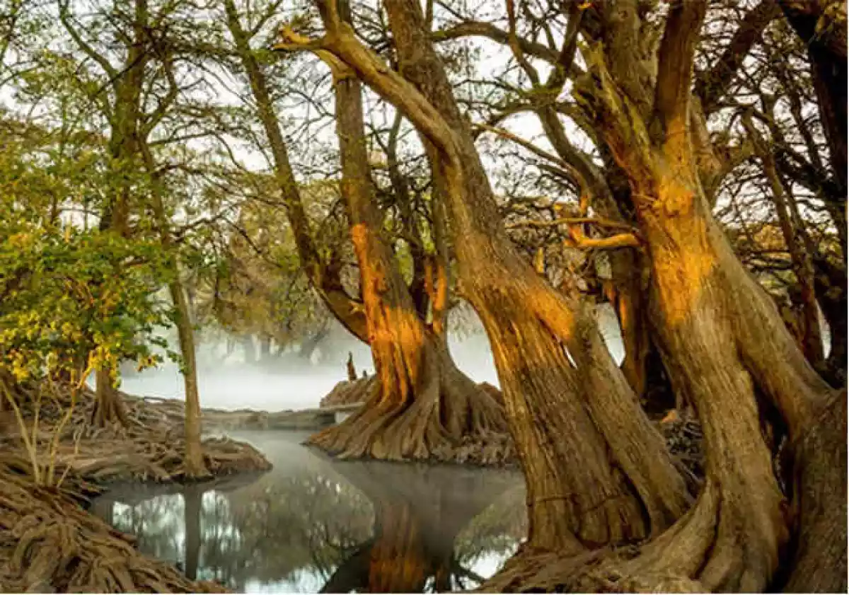 Primer Concurso Nacional de Fotograf�a de Naturaleza
