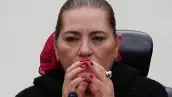taddei-ine