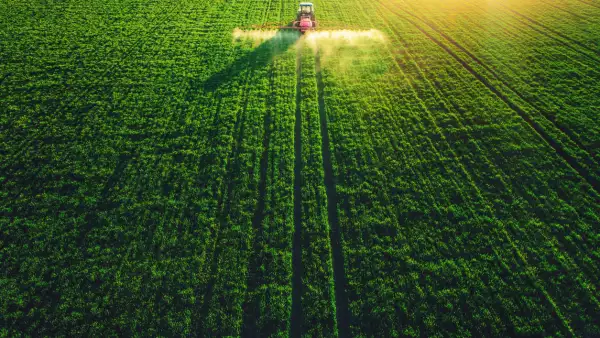 Cultivo - Agricultura