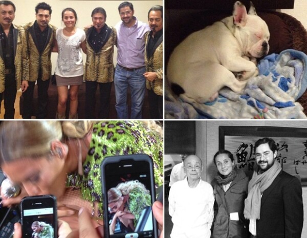 Asistieron al concierto de los Tigres del Norte y Beyoncé, se tomaron la foto de fan con el restaurantero Jiro Ono y le dieron la bienvenida a un nuevo integrante de su familia.