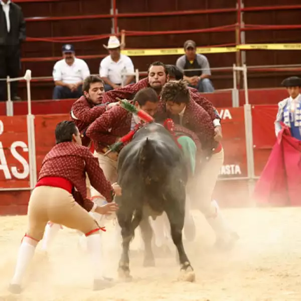 Peyrelonge poresentado por Scappino