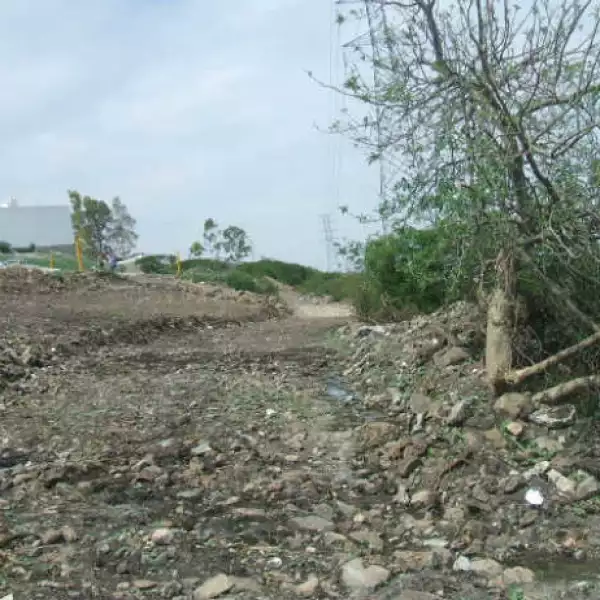 Profepa predio Quer�taro 3