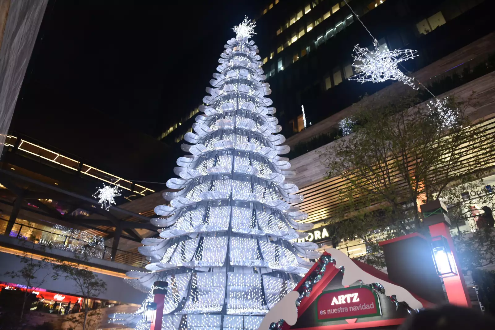 NAVIDADARTZ 021222 040.JPG