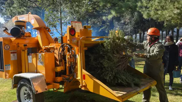 arbol-por-arbol-navidad-2025