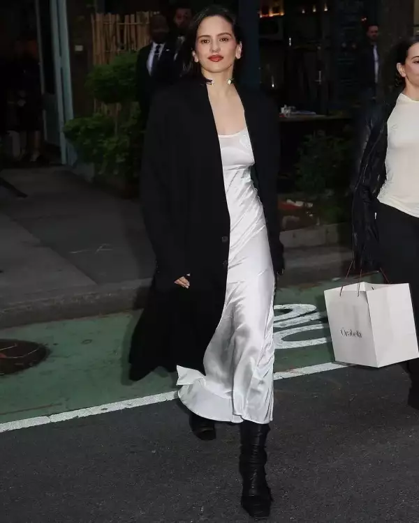 Rosalía vestido lencero 