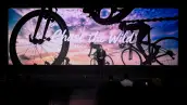 Stage (13).jpg.jpeg