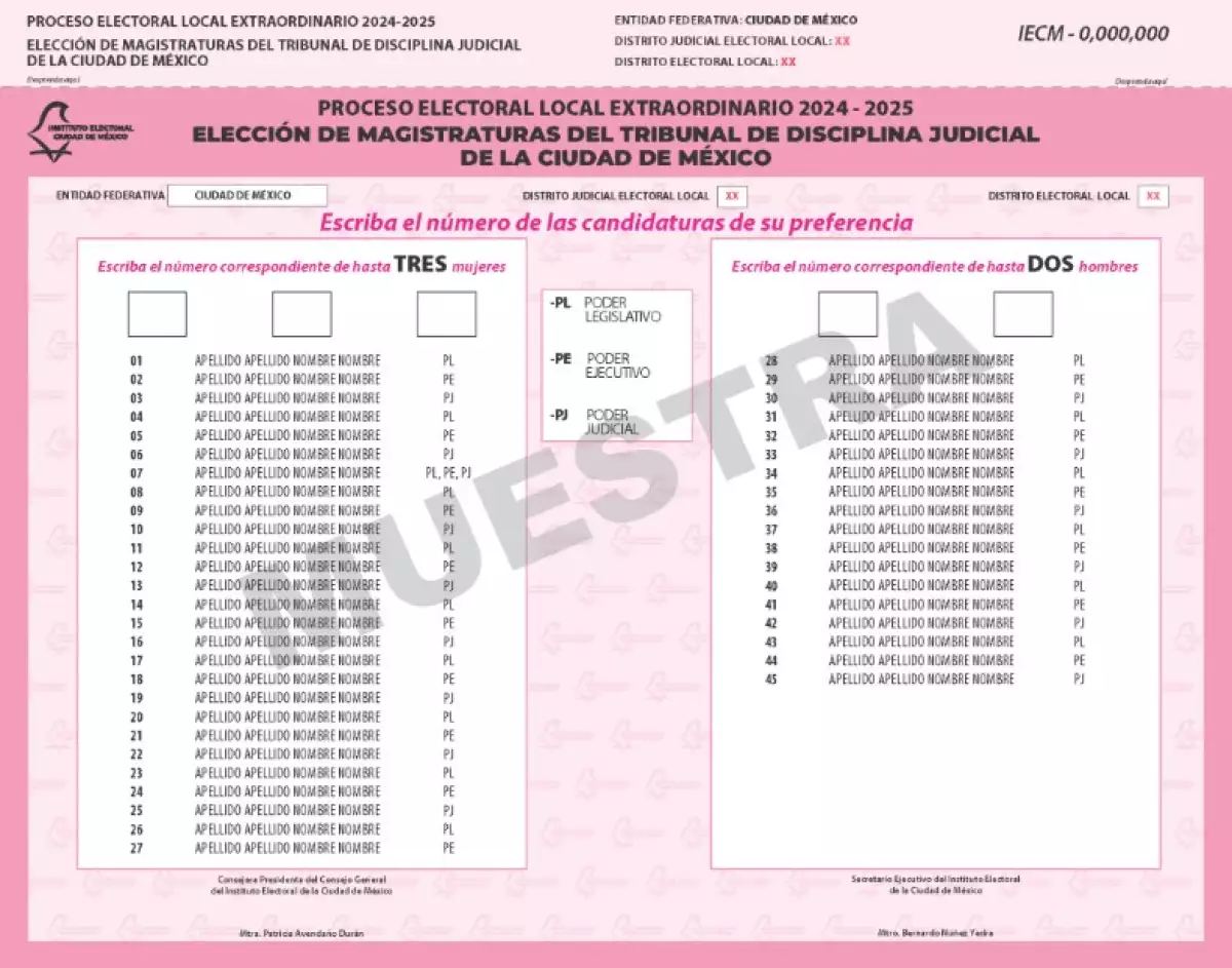 disciplina judicial.jpg