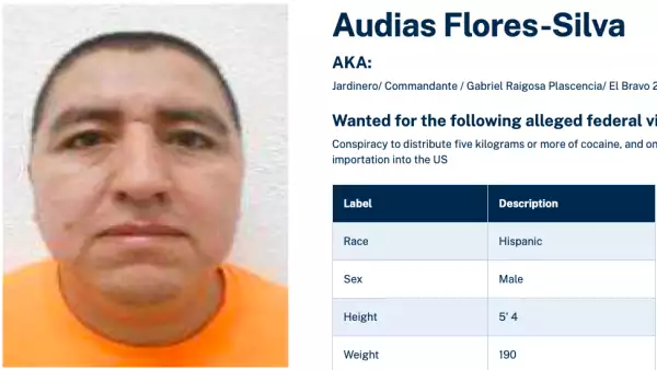 el jerdinero cjng.png