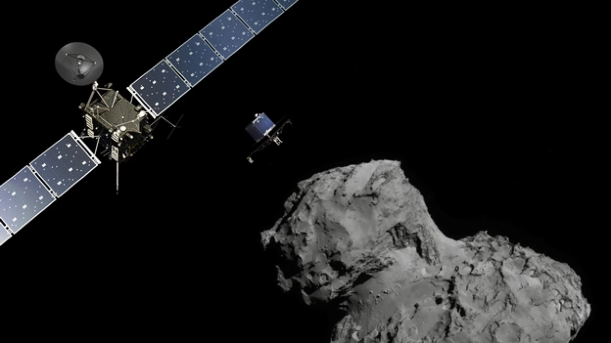 rosetta