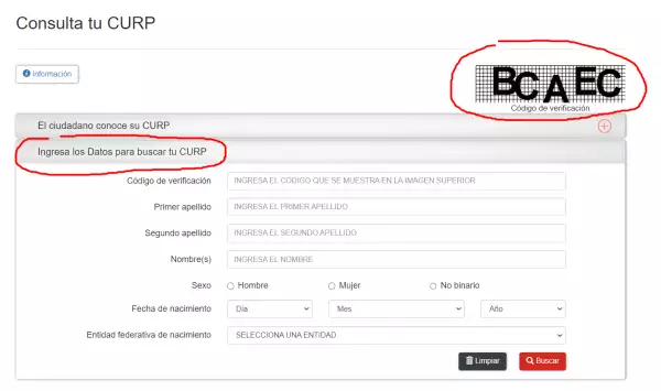 no-puedo-imprimir-mi-curp.png