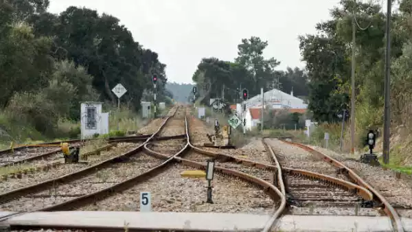 Trenes