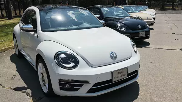 Beetle