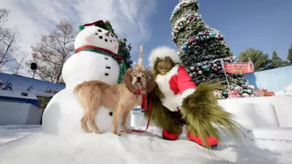 Escenarios navideños