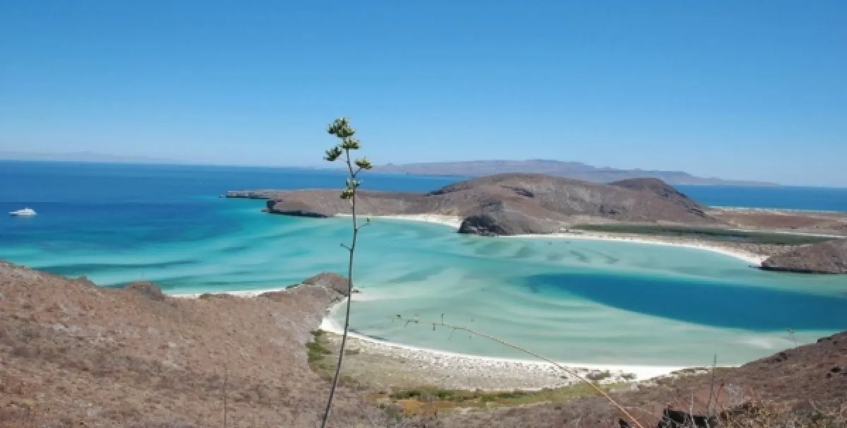 Balandra, Baja California Sur