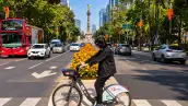 Persona en bicicleta Ecobici frente a un camellón con flores de cempasúchil sobre Paseo de la Reforma, con el Ángel de la Independencia al fondo y adornos de Día de Muertos en los árboles.