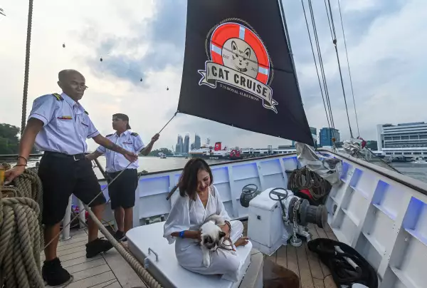 crucero-gatos-lujo-singapur