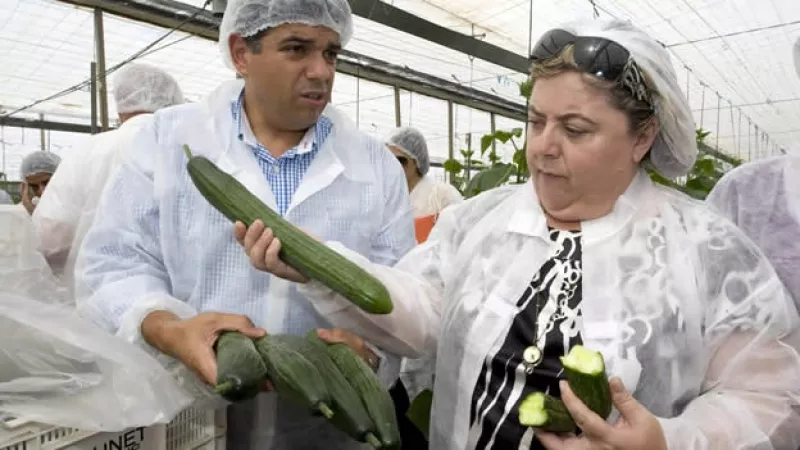 pepinos españa crisis