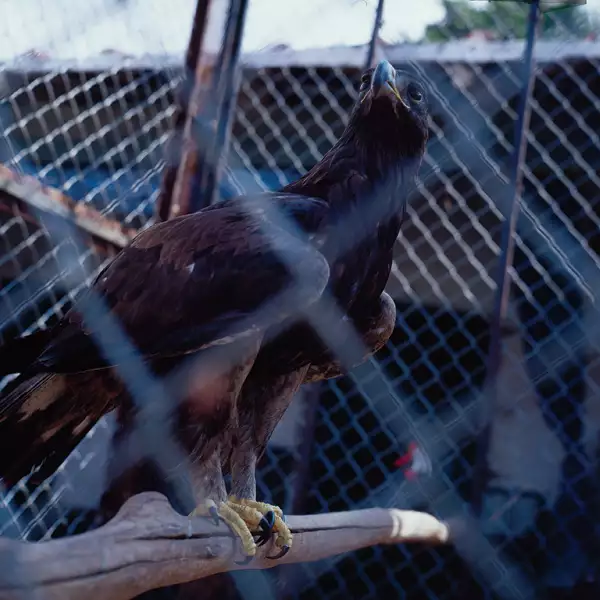 Jorge Hank Rhon es conocido por sus gustos excéntricos.