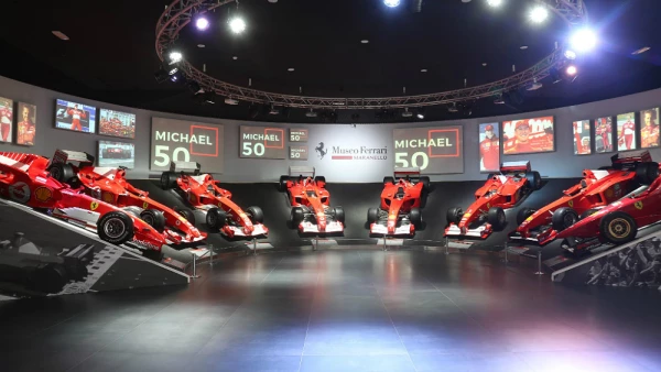 Michael 50 Exhibicion.jpg