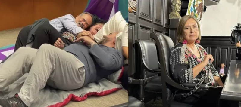 Imagen del Senado desde Presidencia