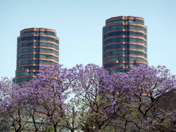 Torres Gemelas Polanco - César Pelli