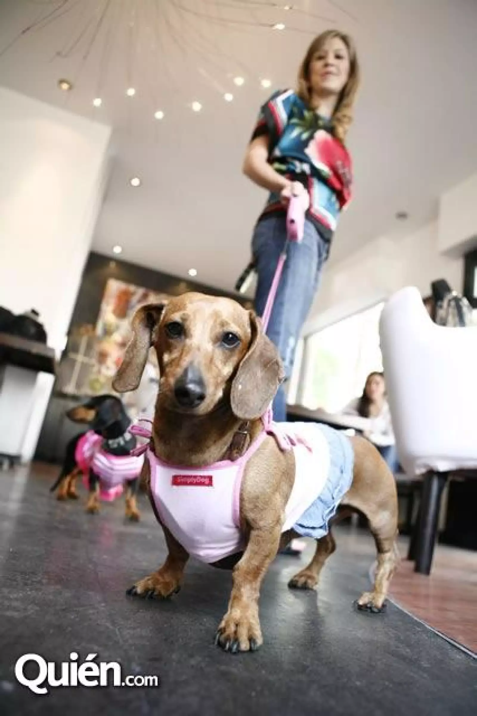 Mara Almada,Pànfila