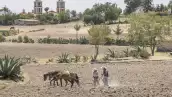 Campo y sustentabilidad