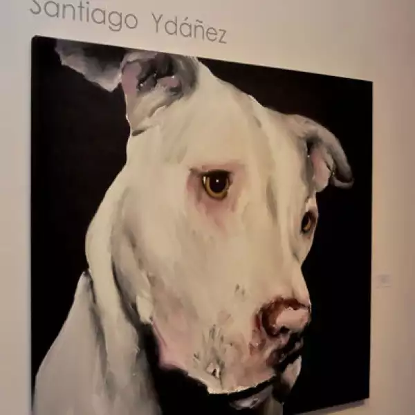 Exposición de Santiago Ydáñez