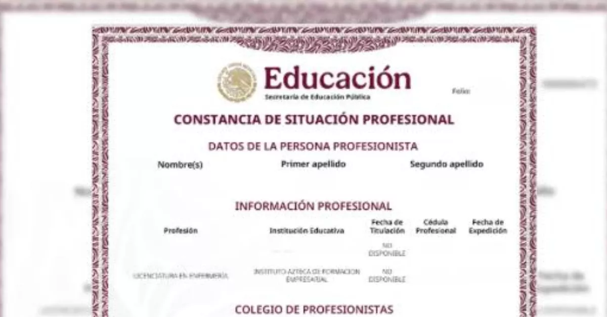 Constancia de Situación Profesional: para qué sirve y cómo descargar
