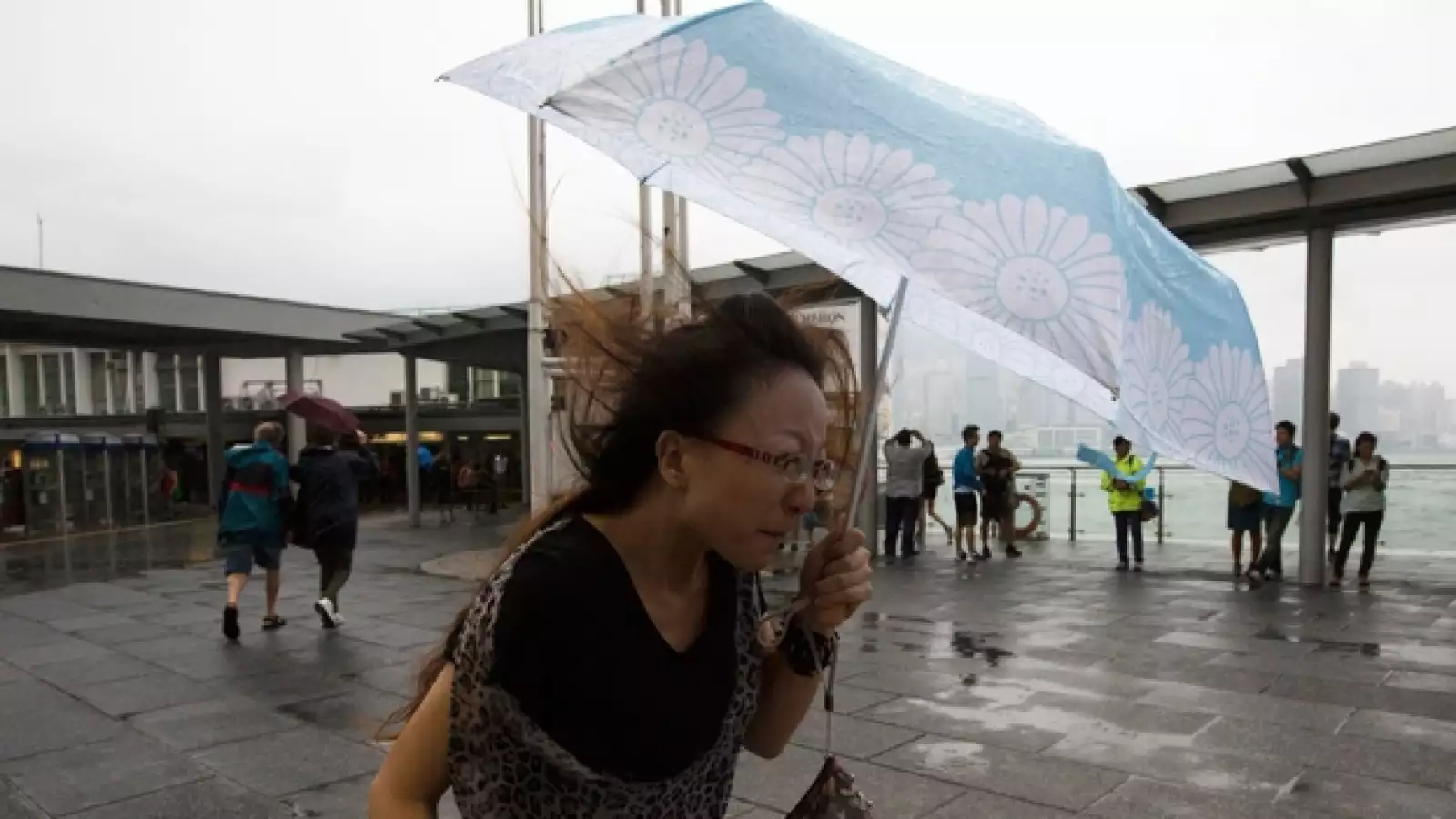 China tifón Usagi 7