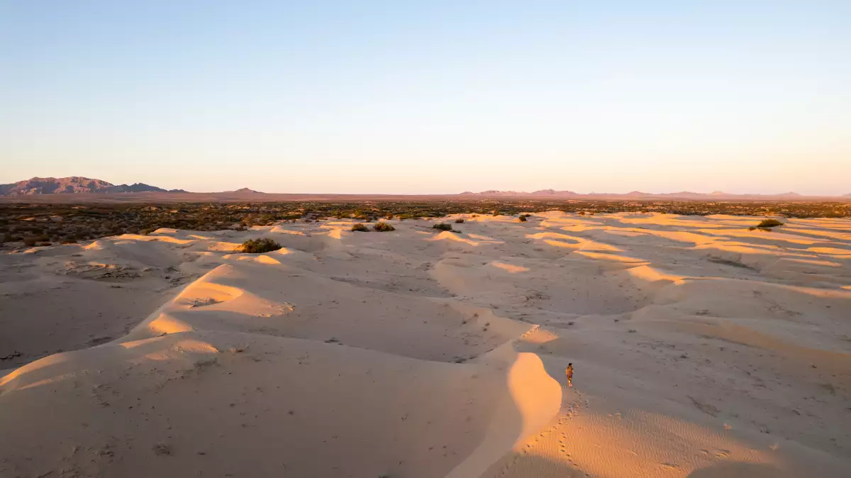 La Gran Carrera del Desierto de Altar