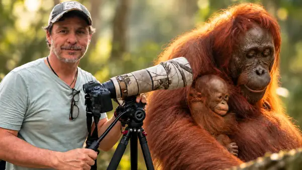 Gerardo del Villar fotografía fauna silvestre en la selva de Borneo, mientras una orangutana de Borneo sostiene a su cría entre la vegetación.