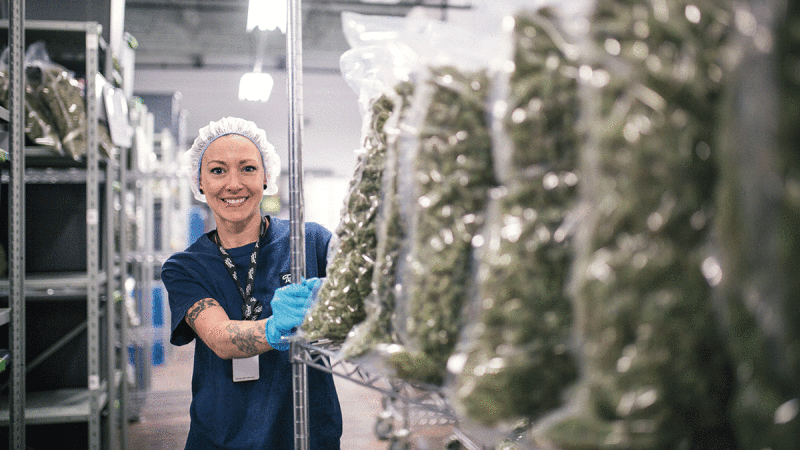 Marihuana en Canadá