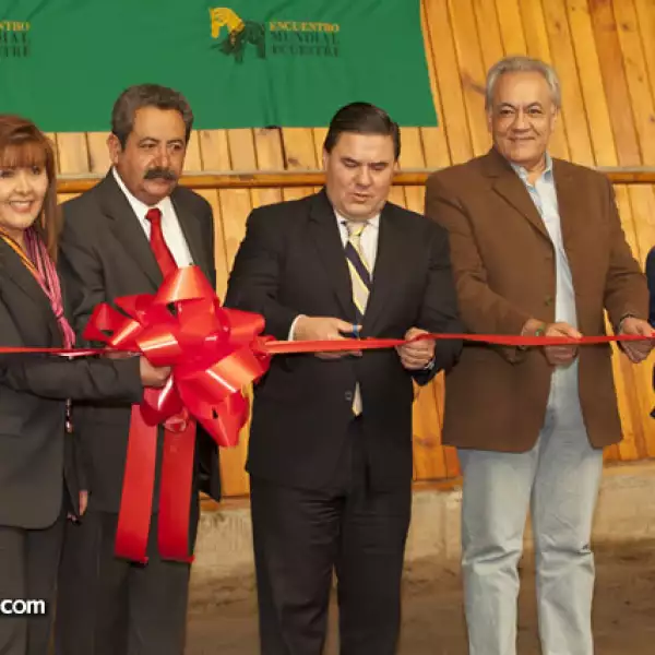 Guille Peregrina, Carlos Cinil, Jesús Mena y Leobardo Alcalá