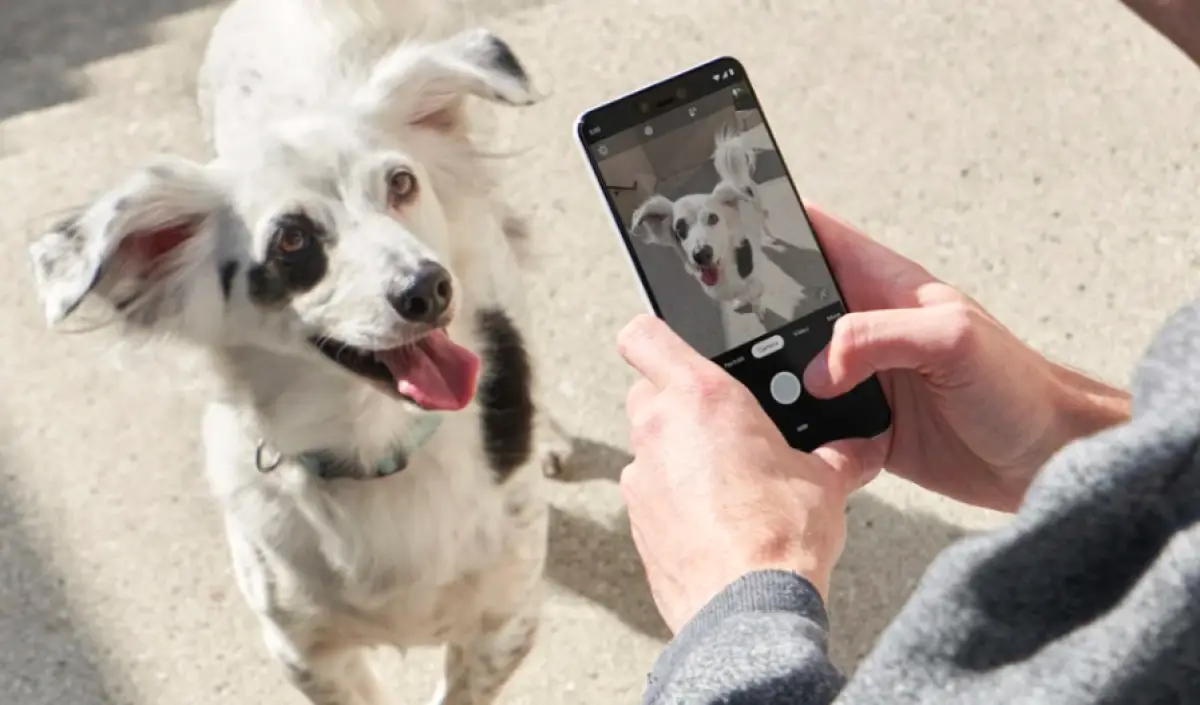 google pixel escaneo.jpg