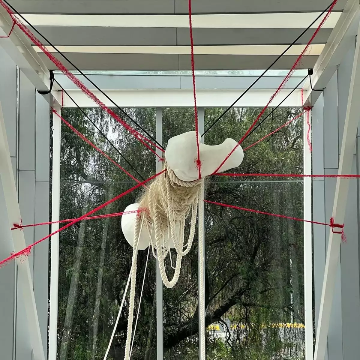 muac-exposiciones.jpg