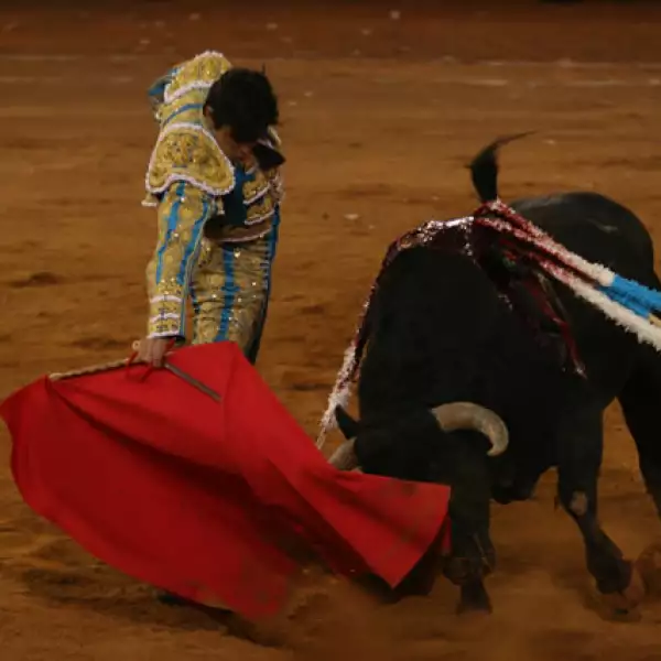 Corrida de Toros 15/02