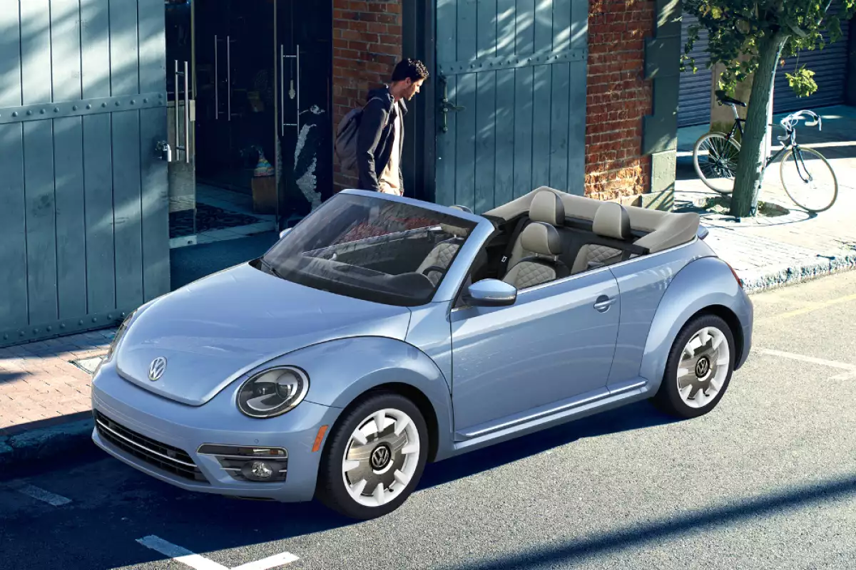 Beetle 03.jpg