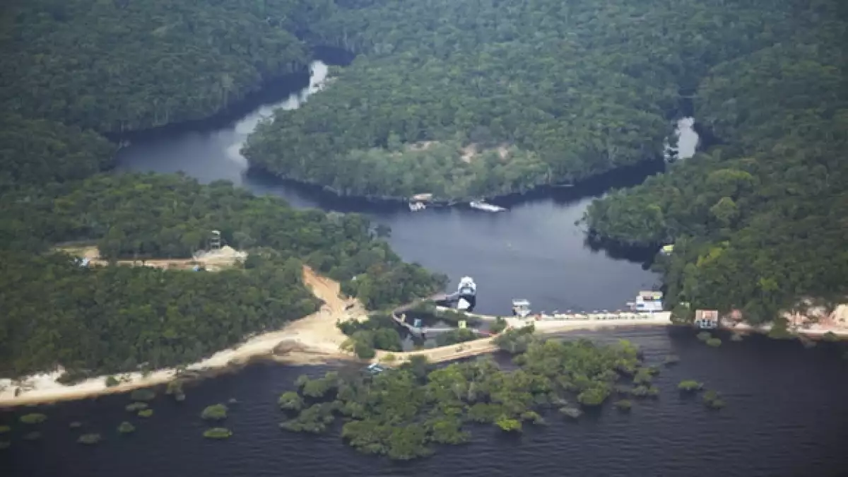 amazonas